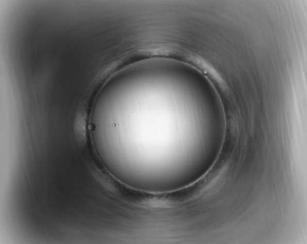 X0000099960537200805231343