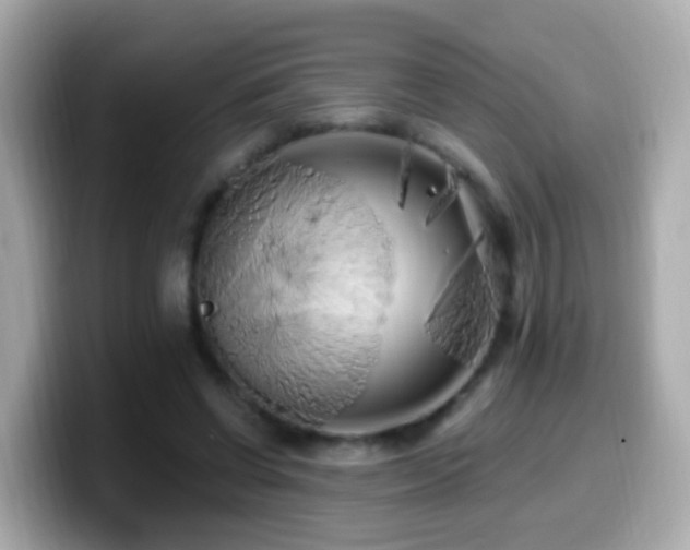 X0000099960542200805231343