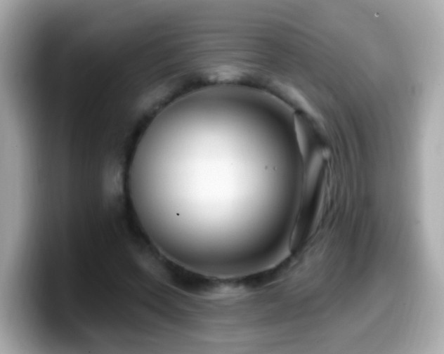 X0000099960543200805231343