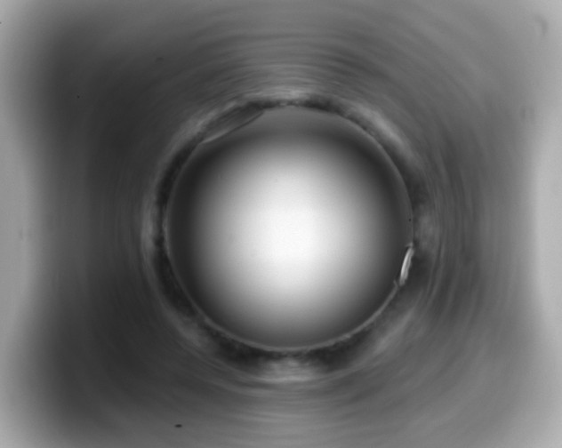X0000099960544200805231343