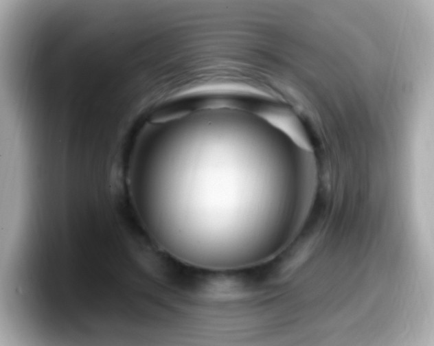 X0000099960547200805231343