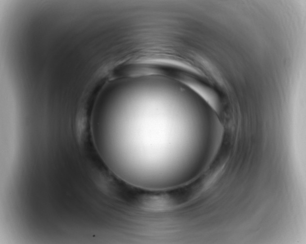 X0000099960548200805231343