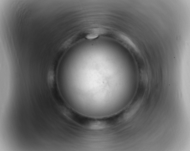 X0000099960549200805231343