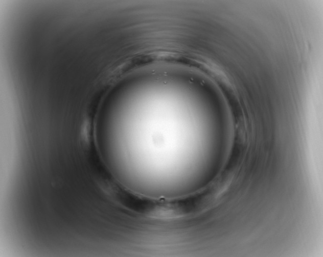 X0000099960550200805231343