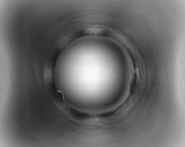 X0000099960551200805231343