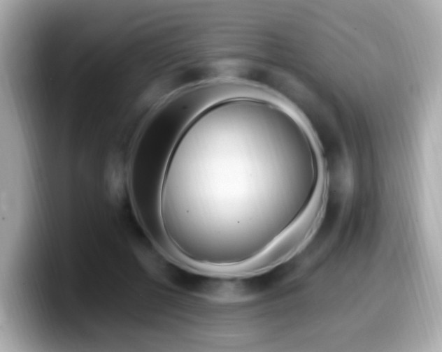 X0000099960552200805231343
