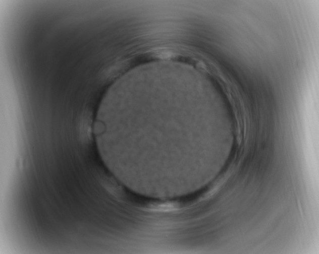 X0000099960553200805231343