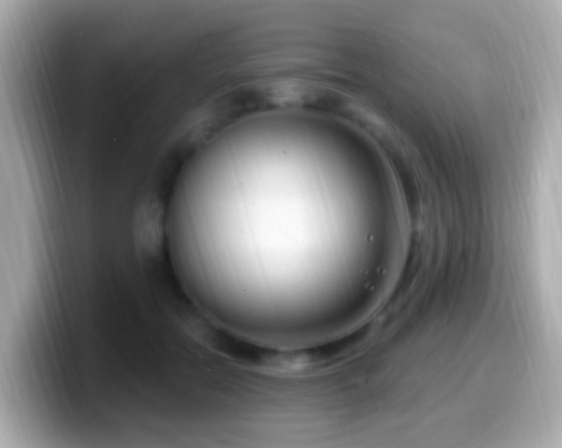 X0000099960554200805231343