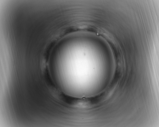 X0000099960555200805231343