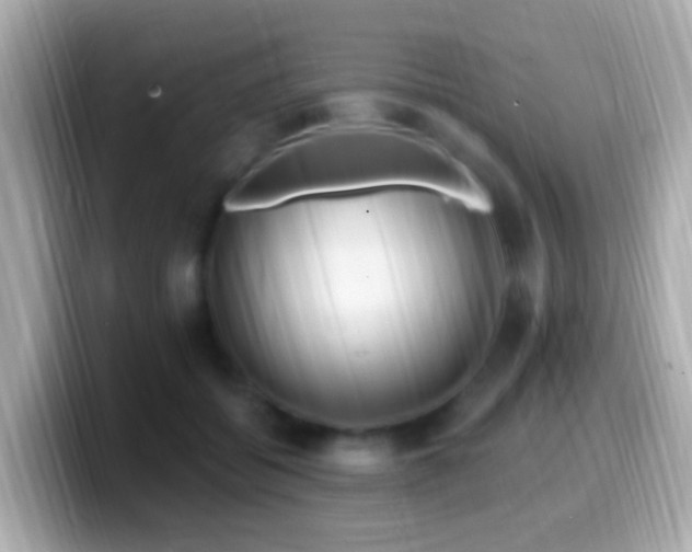 X0000099960556200805231343