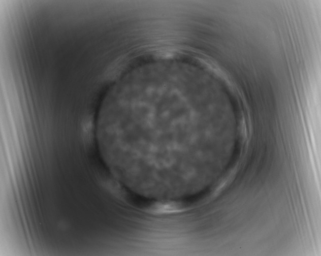 X0000099960557200805231343