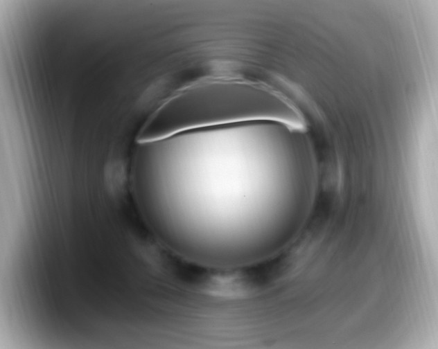X0000099960560200805231343