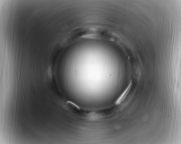 X0000099960562200805231343