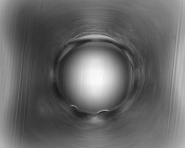 X0000099960564200805231343