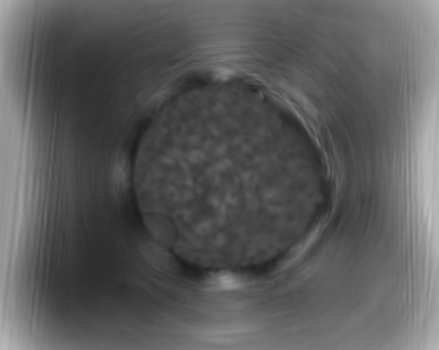X0000099960565200805231343