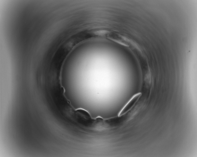 X0000099960572200805231343
