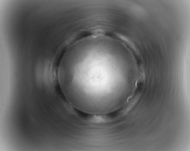 X0000099960573200805231343