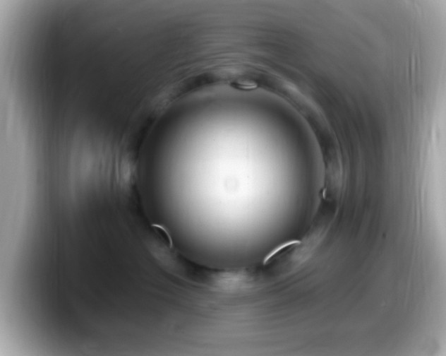 X0000099960574200805231343