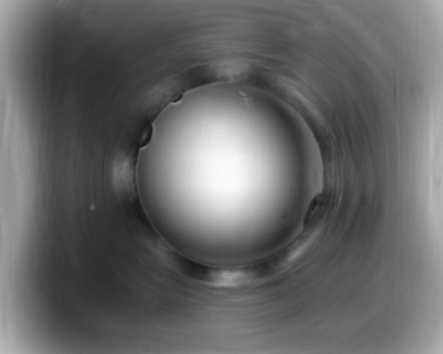 X0000099960575200805231343