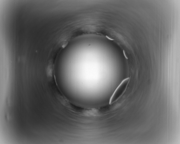 X0000099960576200805231343