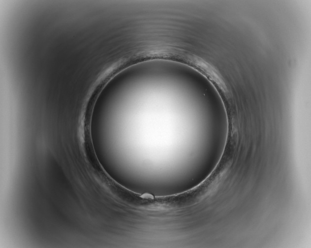 X0000099960578200805231343