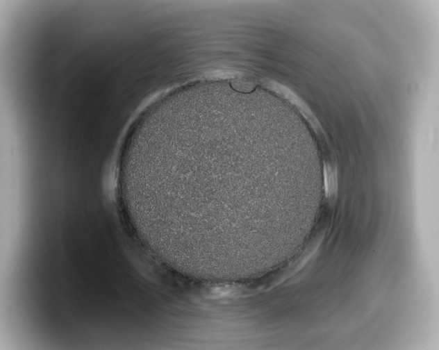 X0000099960579200805231343