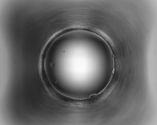 X0000099960580200805231343