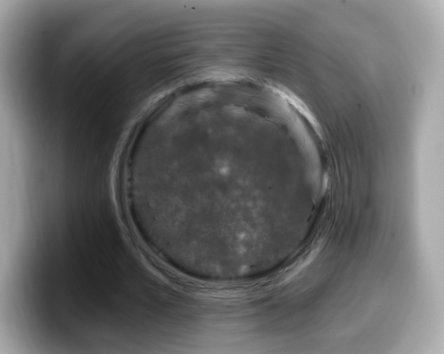 X0000099960581200805231343