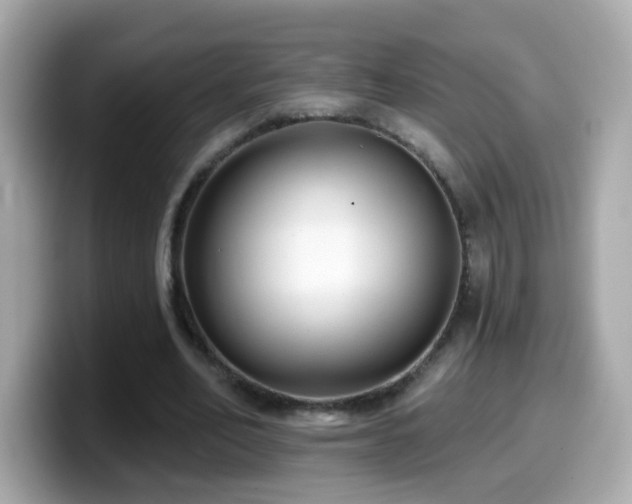 X0000099960582200805231343