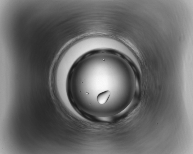 X0000099960584200805231343