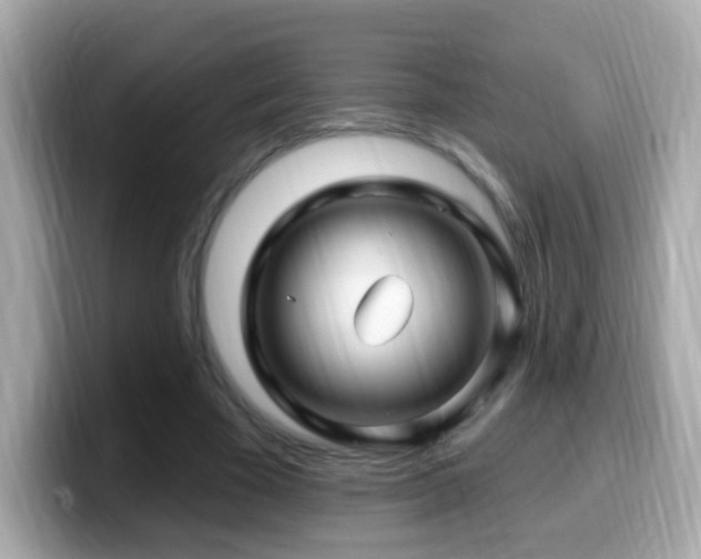 X0000099960585200805231343