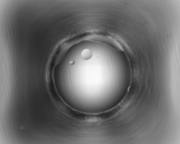 X0000099960587200805231342