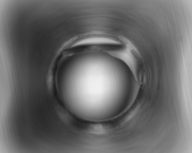 X0000099960588200805231342