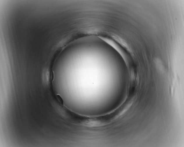 X0000099960589200805231342