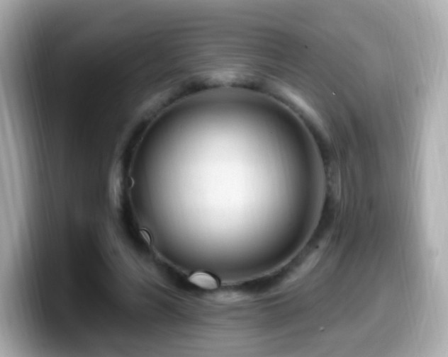 X0000099960590200805231342