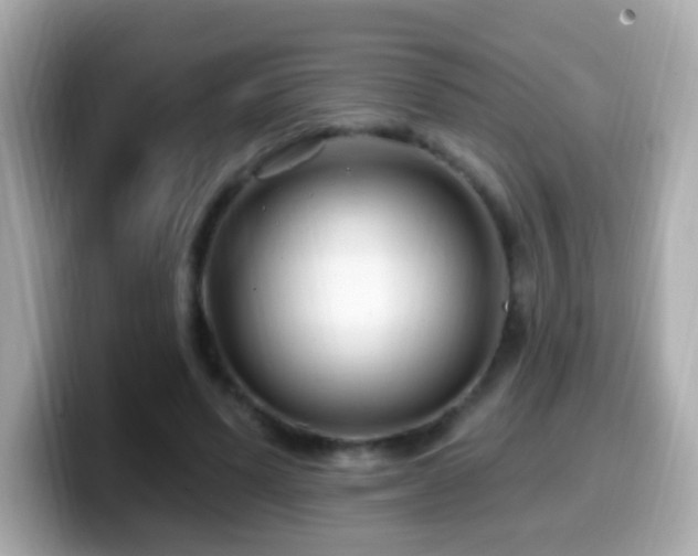 X0000099960591200805231342