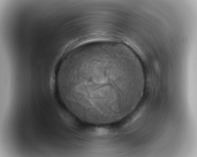 X0000099960592200805231342