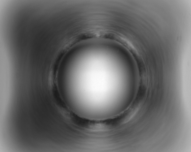 X0000099960594200805231342