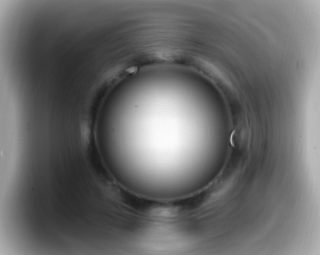 X0000099960595200805231342