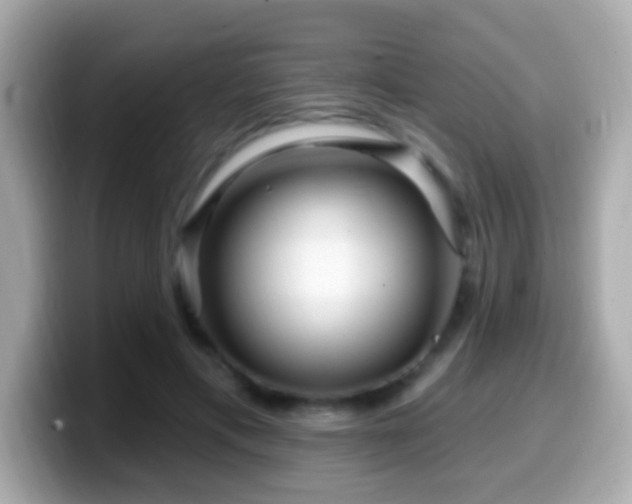 X0000099960597200805231342