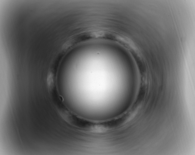 X0000099960598200805231342