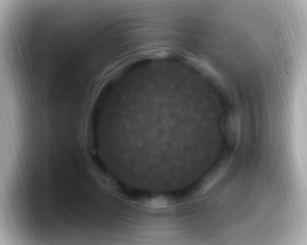 X0000099960600200805231342
