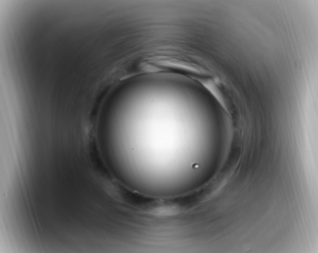X0000099960601200805231342