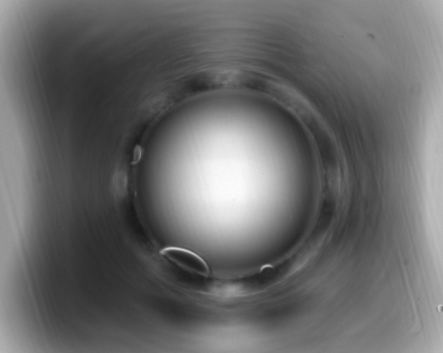 X0000099960602200805231342