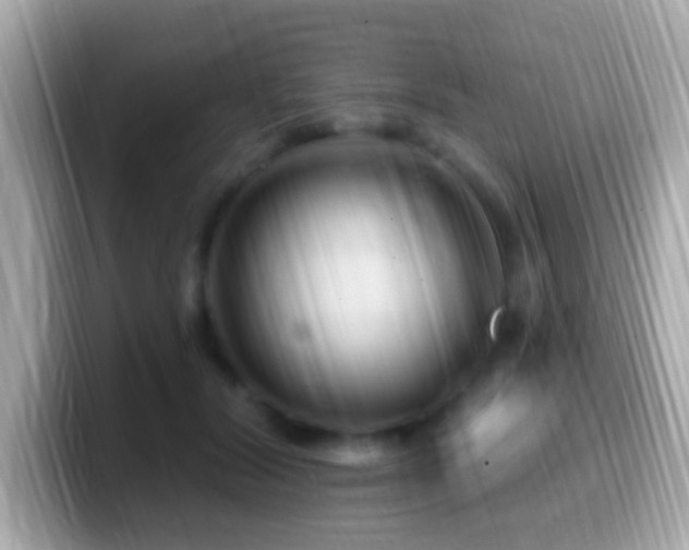 X0000099960604200805231342