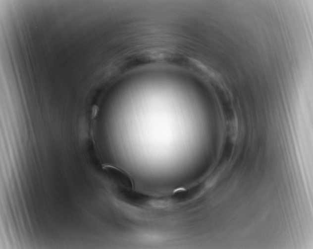 X0000099960606200805231342