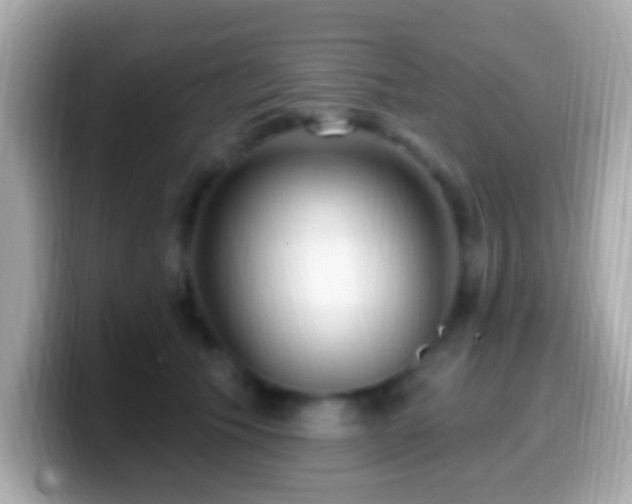X0000099960609200805231342