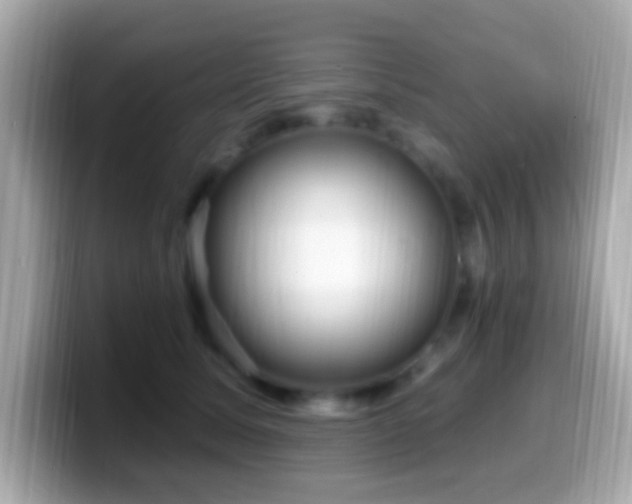 X0000099960611200805231342