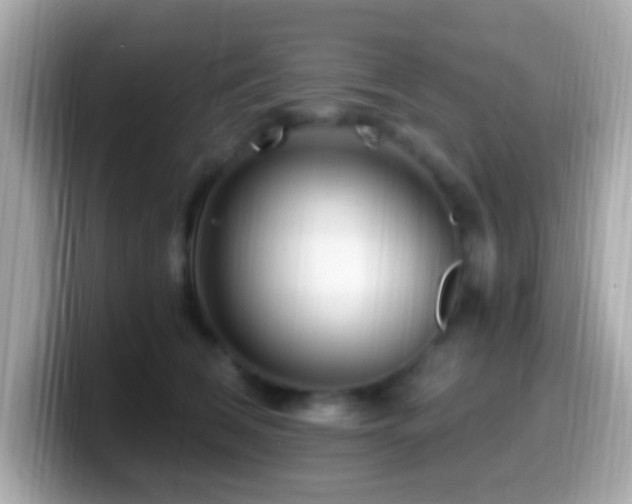 X0000099960612200805231342