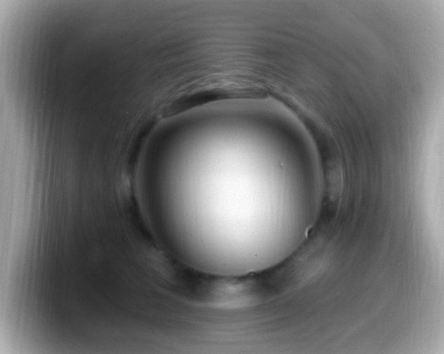 X0000099960613200805231342